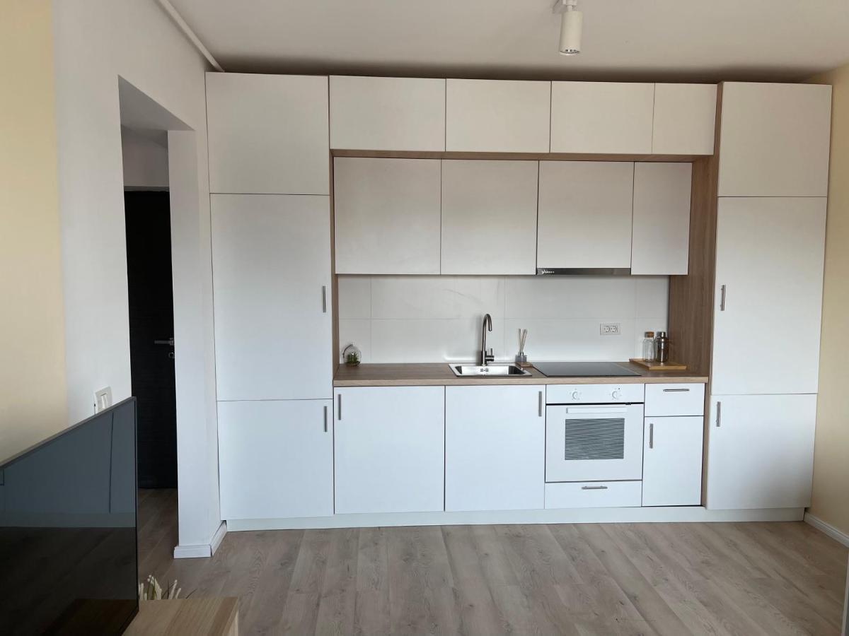 Diamond Luxury Apartment Near Presidential Palace ブカレスト エクステリア 写真